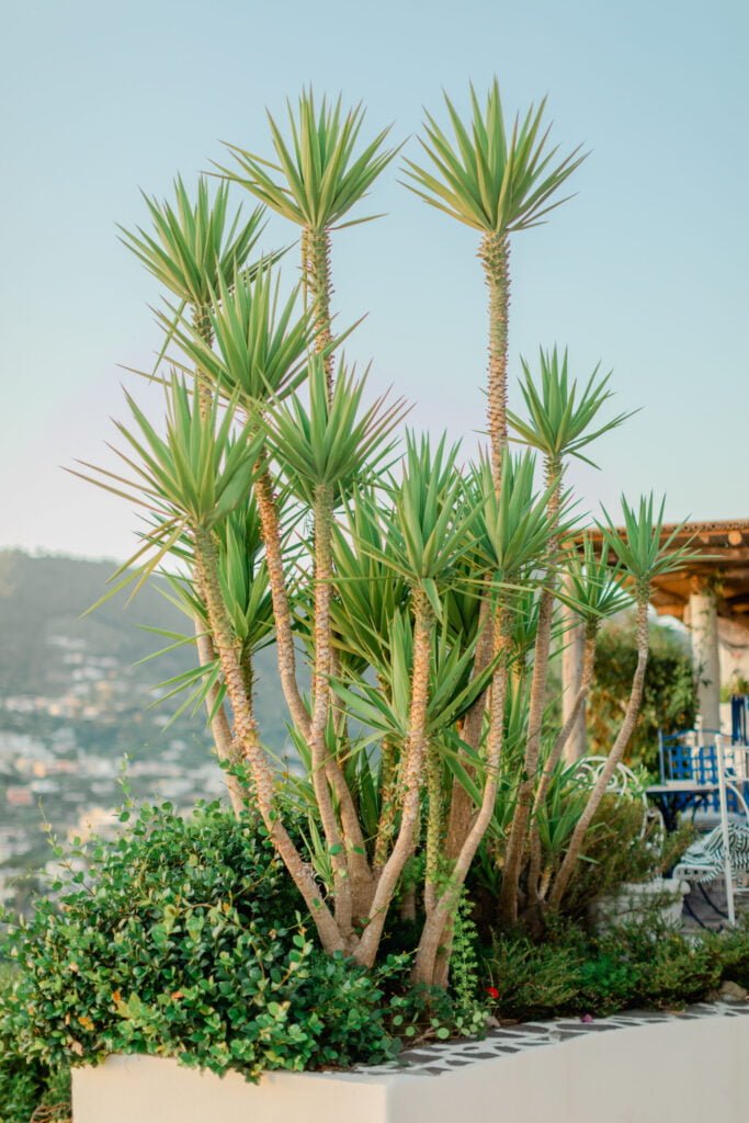 Hochzeit in Italien auf Ischia – Hochzeitsfoto 15