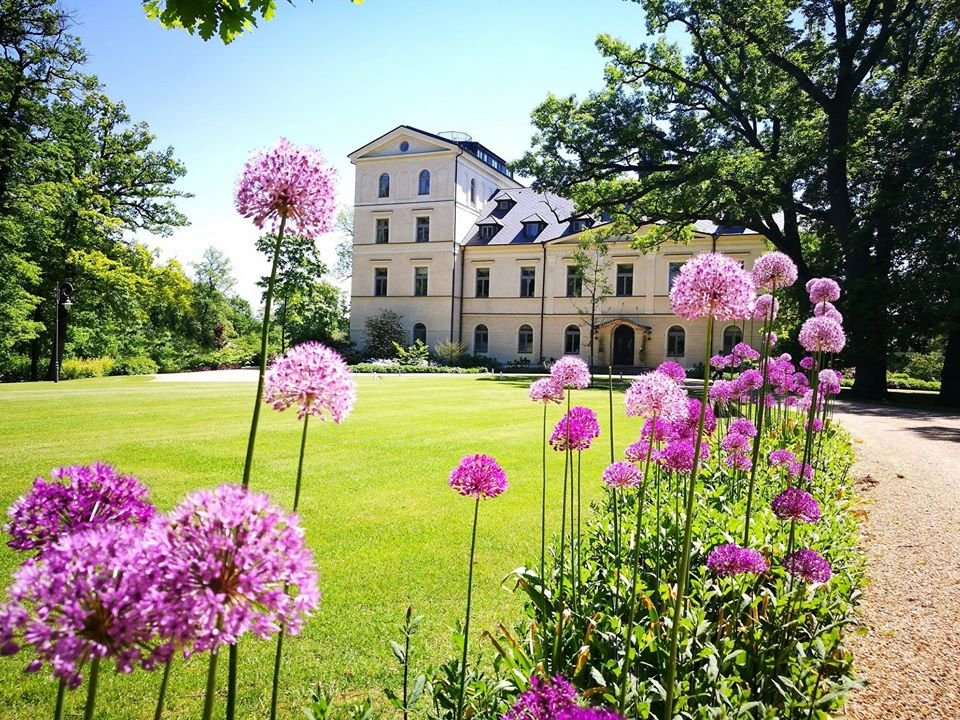 Burgen und Schlösser – Hochzeitsfoto 2