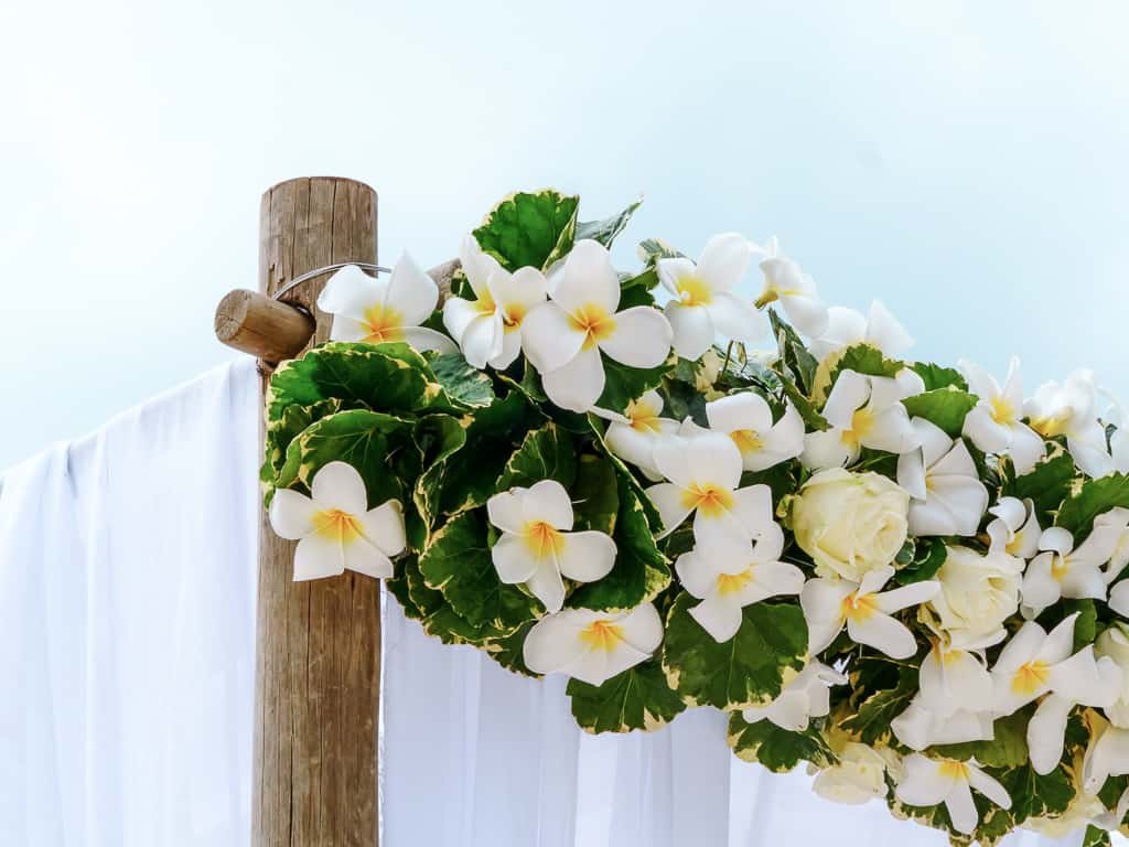 Hochzeit auf den Seychellen – Hochzeitsfoto 22